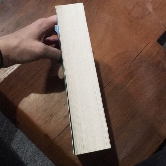 The valley of amazement novel by Amy Tan books - Picture 3 of 8